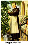Mendel